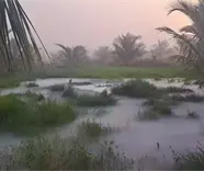 Nueva fuga de hidrocarburo en ranchería Kilómetro 18, de Centla