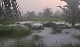 Nueva fuga de hidrocarburo en ranchería Kilómetro 18, de Centla