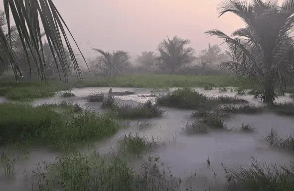 Nueva fuga de hidrocarburo en ranchería Kilómetro 18, de Centla