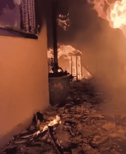 imagen-cuerpo imagen-cuerpo