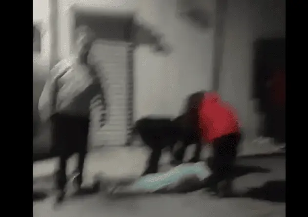 Automovilista atropella a personas durante peregrinación en Nuevo León; 8 resultan heridas