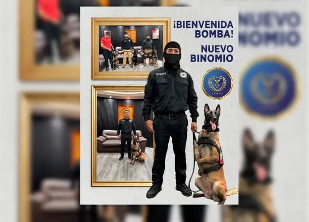Fiscalía de Tabasco suma a ´Bomba´, nuevo binomio canino a la Policía de Investigación