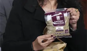 Presentan la lenteja del Bienestar dentro del balance del Plan Michoacán