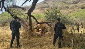 Extorsionan a policías municipales en Jalisco; los desarman y les quitan 170 mil pesos