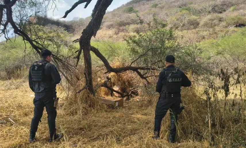 Extorsionan a policías municipales en Jalisco; los desarman y les quitan 170 mil pesos