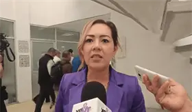 IEPC a&uacute;n no ha sido notificado de manera formal sobre recorte presupuestal, para hacer ajustes: Elizabeth Nava