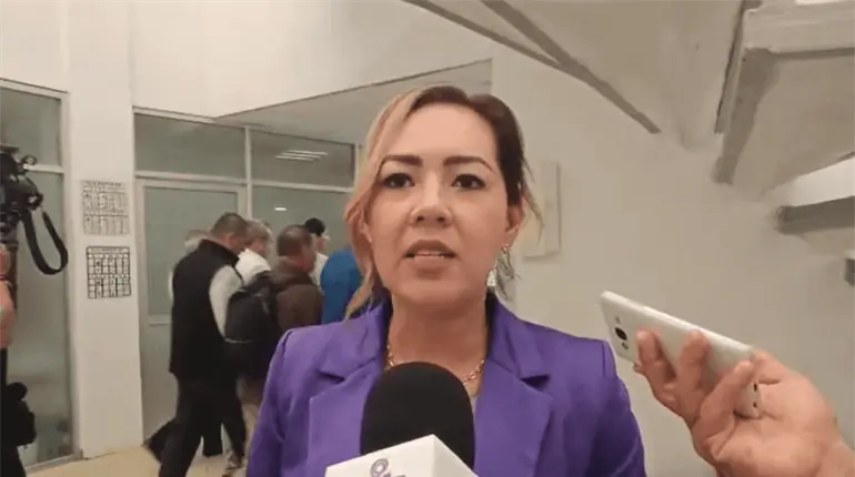 IEPC aún no ha sido notificado de manera formal sobre recorte presupuestal, para hacer ajustes: Elizabeth Nava