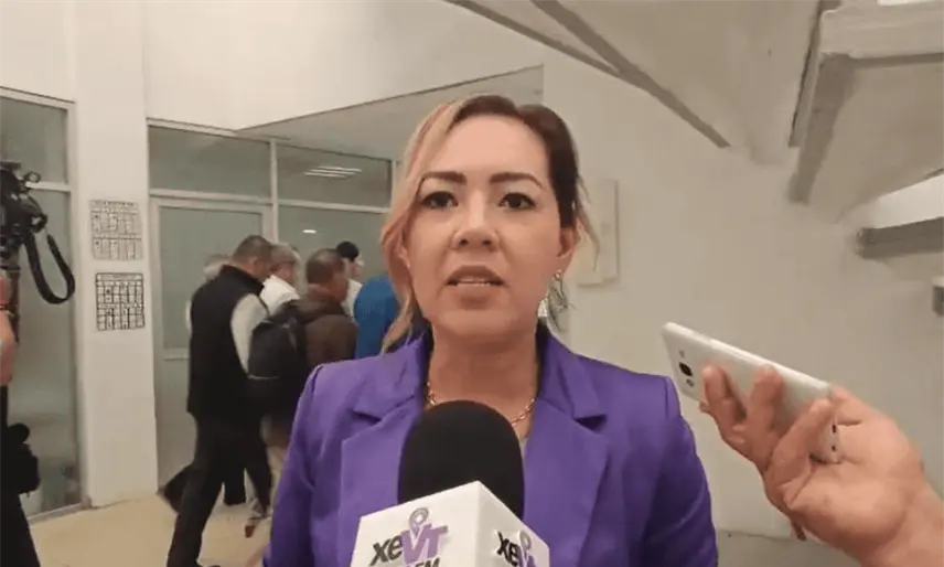 IEPC aún no ha sido notificado de manera formal sobre recorte presupuestal, para hacer ajustes: Elizabeth Nava
