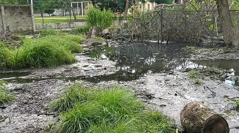 Invaden aguas residuales conjunto habitacional de Centro