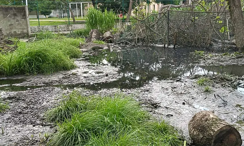 Invaden aguas residuales conjunto habitacional de Centro