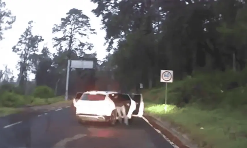 Pareja logra escapar de intento de asalto a mano armada en la México-Cuernavaca