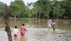 Entregan despensas en comunidades afectadas por frente frío No. 19