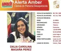 Activan Alerta Amber para localizar a menor Dalia Carolina, desaparecida en Villahermosa