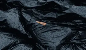 Hallan cientos de cigüeñas muertas víctimas de gripe aviar en España