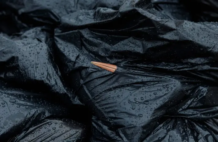 Hallan cientos de cigüeñas muertas víctimas de gripe aviar en España