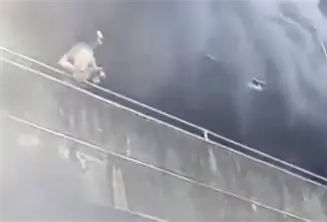 Mujer arriesga su vida para salvar a sus perritos en voraz incendio en Filipinas