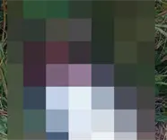 Lo ejecutan en C&aacute;rdenas; presuntamente era encargado de un anexo