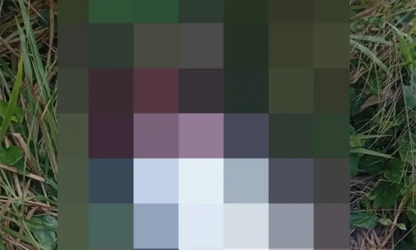 Lo ejecutan en Cárdenas; presuntamente era encargado de un anexo