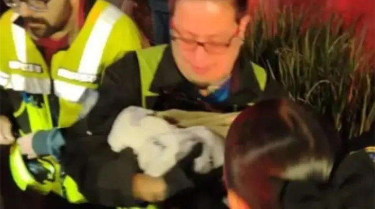 Mujeres policías asisten en labor de parto al interior de vehículo en CDMX