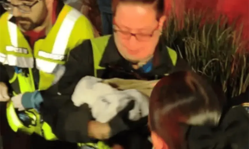 Mujeres policías asisten en labor de parto al interior de vehículo en CDMX