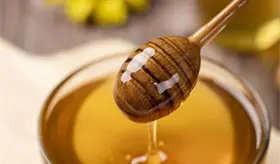 Comercializaci&oacute;n de "falsa miel" afecta a m&aacute;s del 60% de productores en M&eacute;xico: Comit&eacute; Nacional Ap&iacute;cola