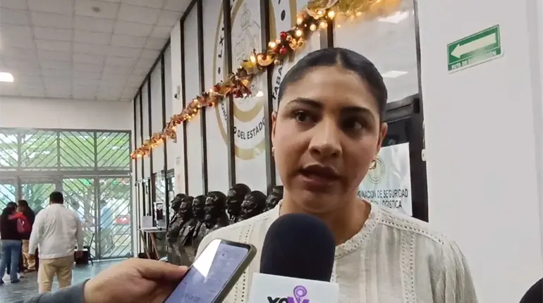 Alerta de Género no debe verse como crítica, sino como apoyo para disminuir la violencia hacia la mujer: diputada de Morena