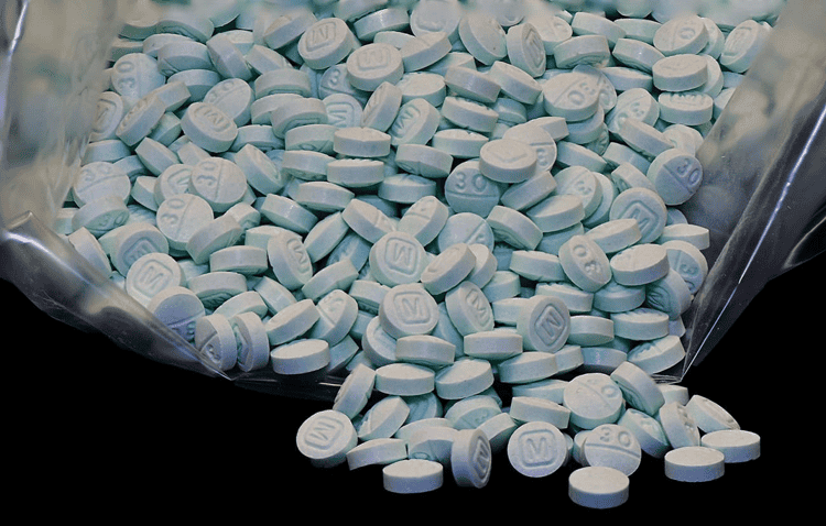 imagen-cuerpo imagen-cuerpo