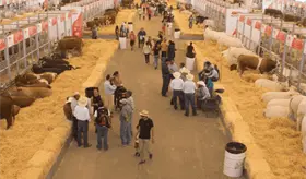 Construir&aacute;n nave de exposiciones y restaurante en stand ganadero del Parque Tabasco