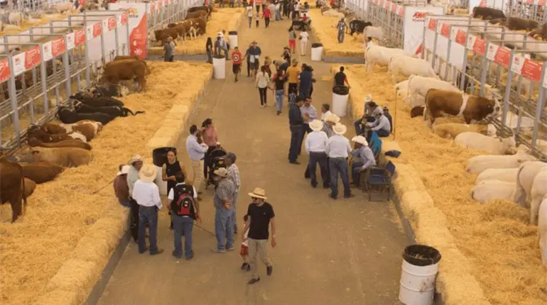 Construir&aacute;n nave de exposiciones y restaurante en stand ganadero del Parque Tabasco