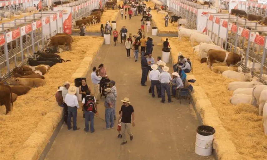 Construirán nave de exposiciones y restaurante en stand ganadero del Parque Tabasco