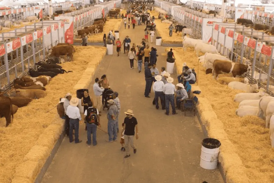 Construir&aacute;n nave de exposiciones y restaurante en stand ganadero del Parque Tabasco