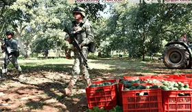 Plan Michoac&aacute;n han permitido la detenci&oacute;n de 213 personas: Gabinete de Seguridad de M&eacute;xico