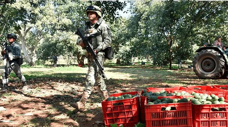 Plan Michoac&aacute;n han permitido la detenci&oacute;n de 213 personas: Gabinete de Seguridad de M&eacute;xico