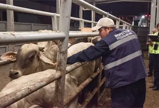 "No hemos hecho nada ilegal": UGR Tabasco tras cateos