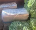 &iexcl;No era br&oacute;coli! Detectan cargamento de coca&iacute;na oculta en contenedor mexicano en Texas
