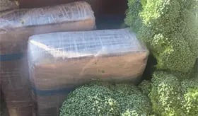 &iexcl;No era br&oacute;coli! Detectan cargamento de coca&iacute;na oculta en contenedor mexicano en Texas