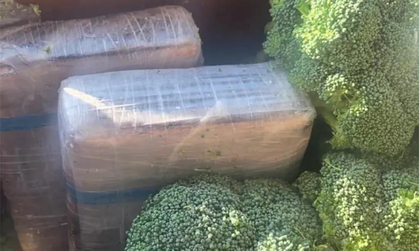 ¡No era brócoli! Detectan cargamento de cocaína oculta en contenedor mexicano en Texas