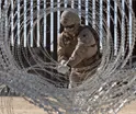 Refuerza EE. UU. frontera con M&eacute;xico la instalaci&oacute;n m&aacute;s importante en la historia de alambre C