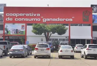 Personas se hicieron pasar por ganaderos para obtener aretes ilegales: FGE