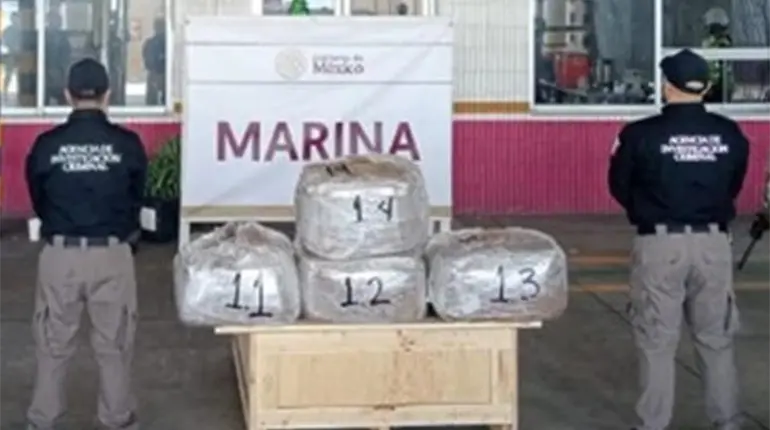 Marina asegura en puerto de Veracruz 96 kilos de droga conocida como DMT