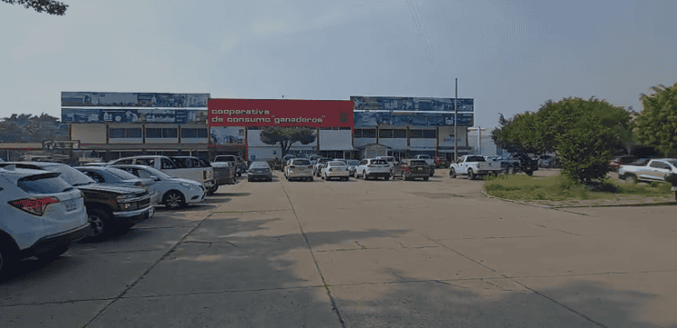 imagen-cuerpo imagen-cuerpo