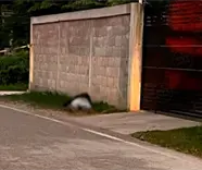 Dos hombres ejecutados y dos heridos deja noche violenta en Tabasco