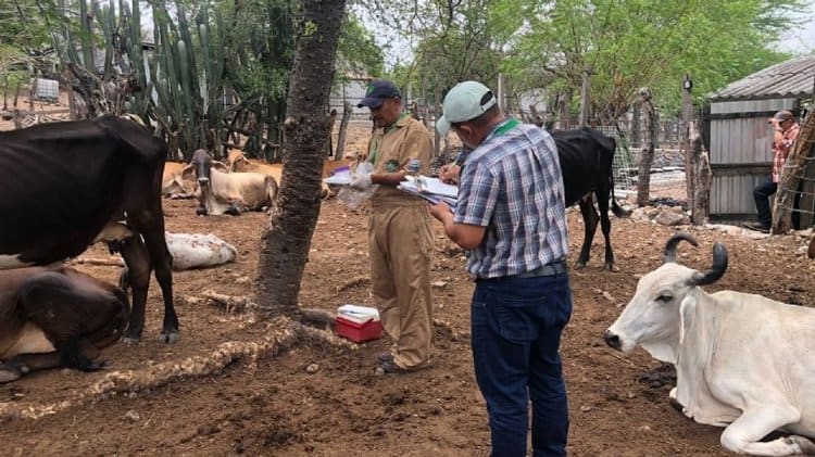 imagen-cuerpo imagen-cuerpo