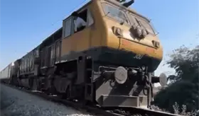 Fallecen 7 elefantes arrollados por tren en India