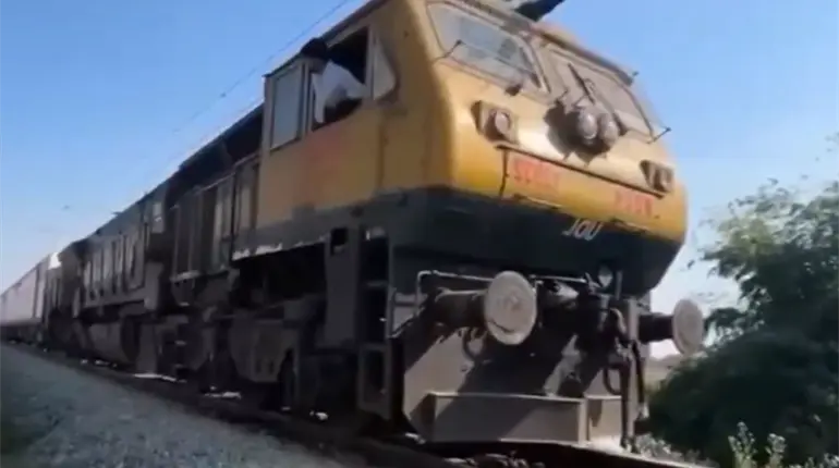 Fallecen 7 elefantes arrollados por tren en India