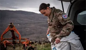 Francia despliega a su ej&eacute;rcito para combatir brote de enfermedad bovina