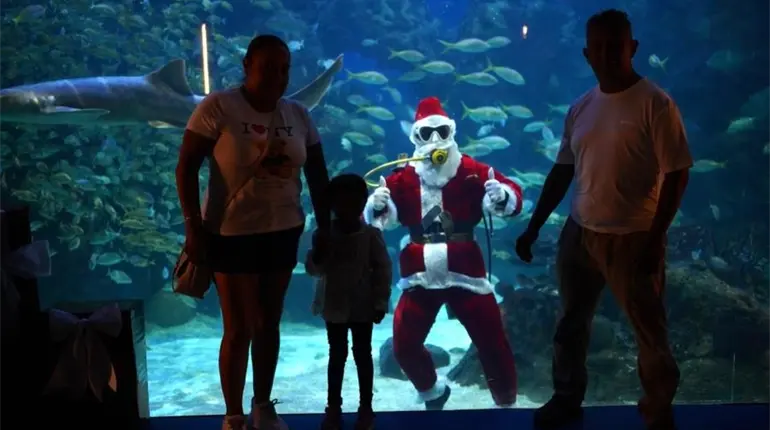 Santa Claus llega hasta las profundidades y sorprende a turistas en el Acuario del Puerto de Veracruz