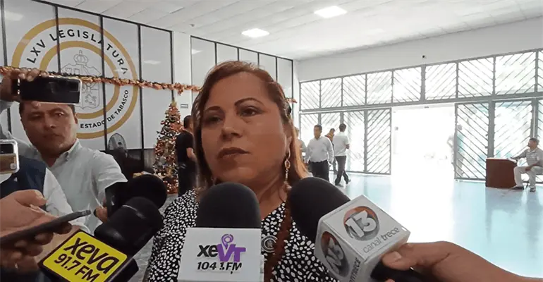 Recorte a Tecnol&oacute;gicos de Tabasco no afectar&aacute; su operatividad: Diputada de Morena