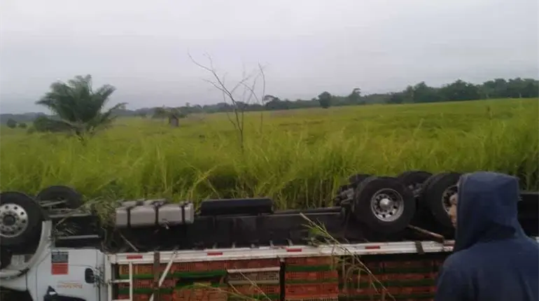Vuelca cami&oacute;n que transportaba pollos en Macuspana