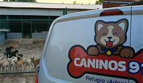 Caninos 911 rescata a perritos violados, mutilados y agredidos hasta con toques el&eacute;ctricos